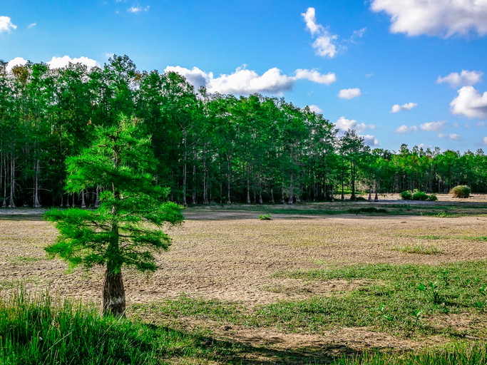 Panoramic Image of Gainesville, GA